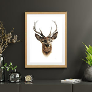 CERF