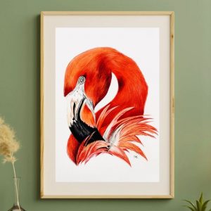 FLAMANT