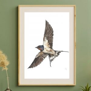 HIRONDELLE