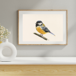 MESANGE CHARBONNIERE