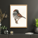 MOINEAU