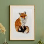 RENARD