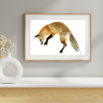 RENARD QUI MULOTE