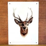 M. PLAQUE CERF