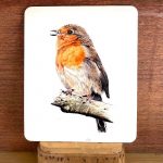 A. DESSOUS DE PLAT ROUGE GORGE