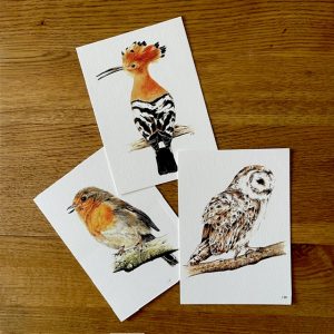 CARTES POSTALES